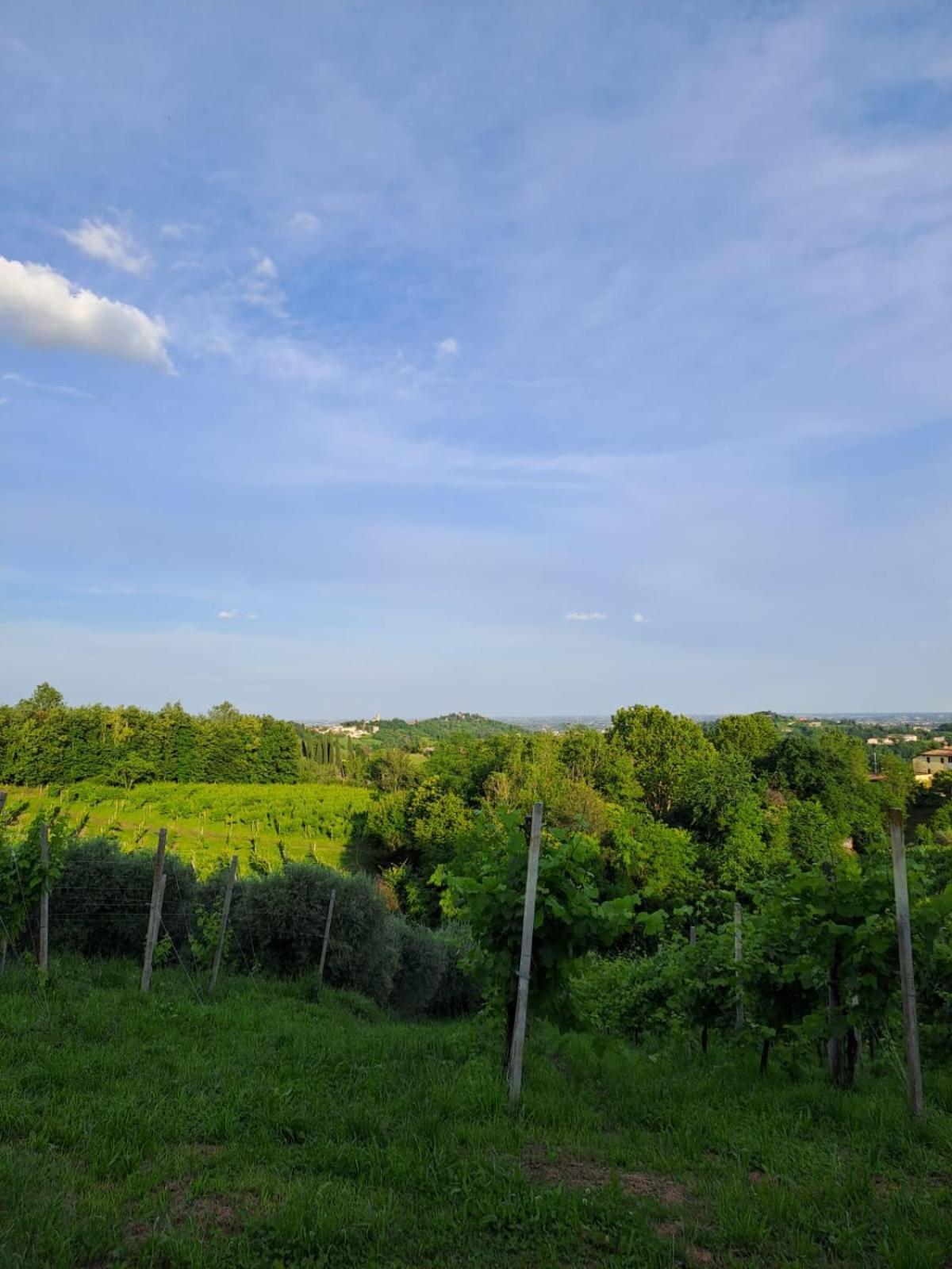 Casa Di Tuco Bed and Breakfast Conegliano Exterior foto