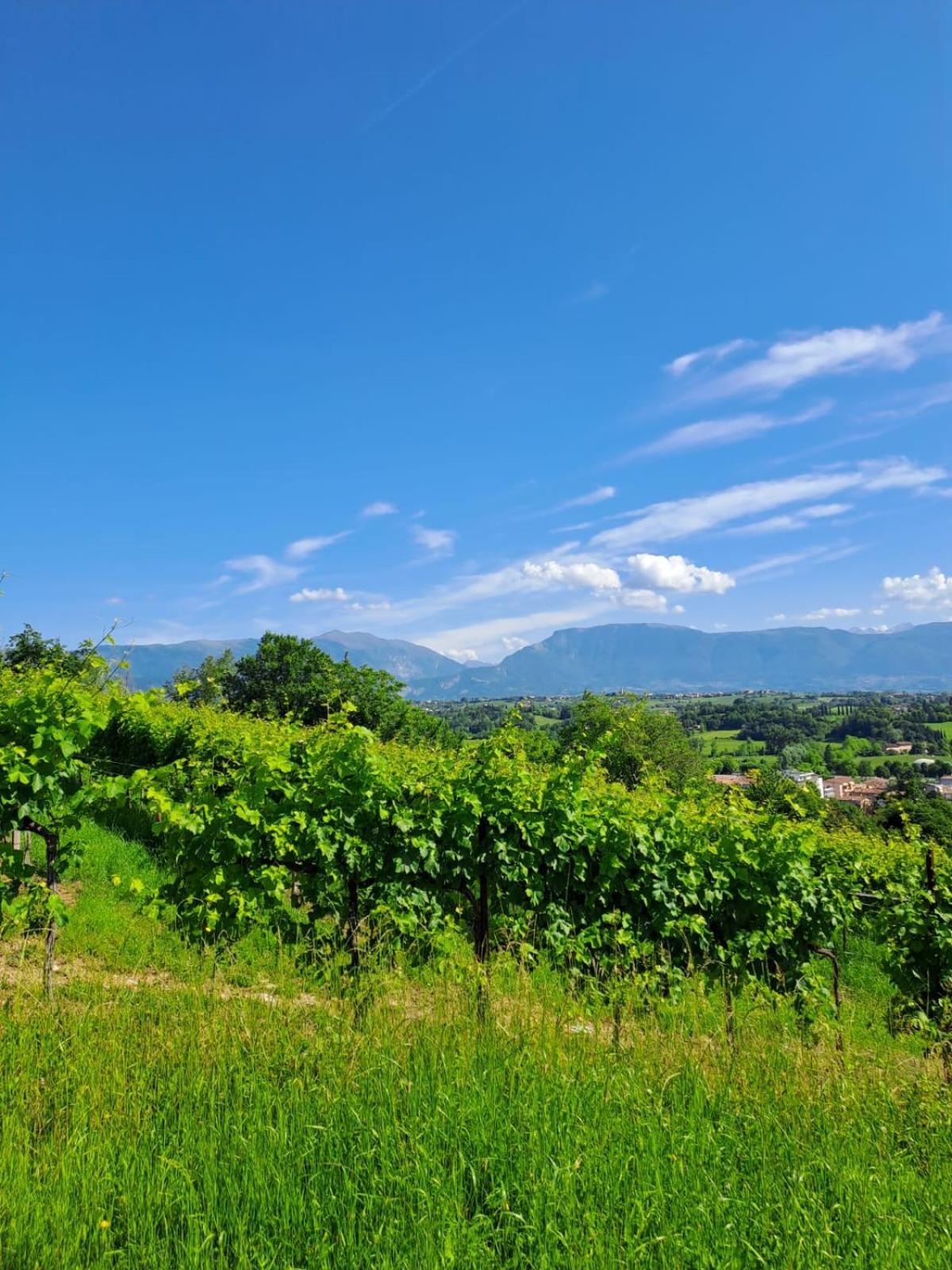 Casa Di Tuco Bed and Breakfast Conegliano Exterior foto